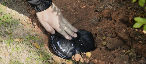 Compostable Bags